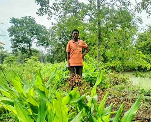 डबरी ने खोले समृद्धि के द्वार, दुलार सिंह का सपना हुआ साकार