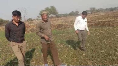 बीज बदले, किस्मत बदली—दलहन-तिलहन ने किसान दिलीप सिन्हा को बनाया लाखपति