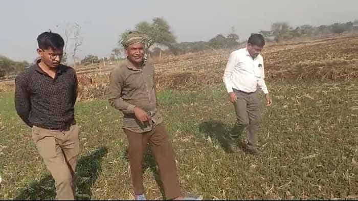 बीज बदले, किस्मत बदली—दलहन-तिलहन ने किसान दिलीप सिन्हा को बनाया लाखपति