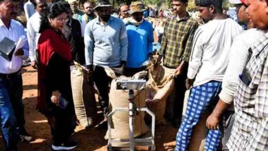 कलेक्टर ने धान खरीदी केंद्रों का आकस्मिक निरीक्षण किया