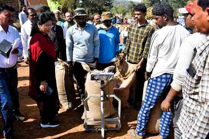 कलेक्टर ने धान खरीदी केंद्रों का आकस्मिक निरीक्षण किया