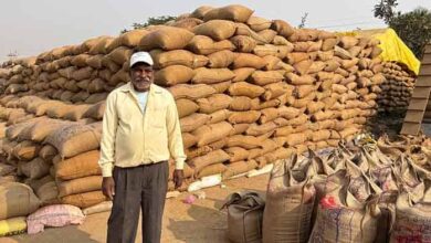 मेहनत का मीठा फल—धान की बेहतर कीमत ने किसान युगल को दी नई उड़ान