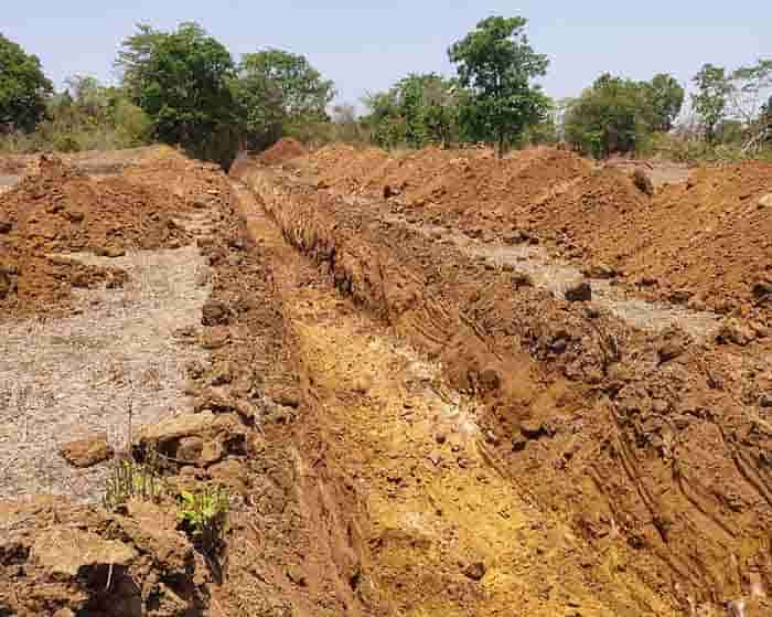 पानी से प्रगति तक: फुटहामुड़ा नहर से नगरी अंचल में हरित क्रांति