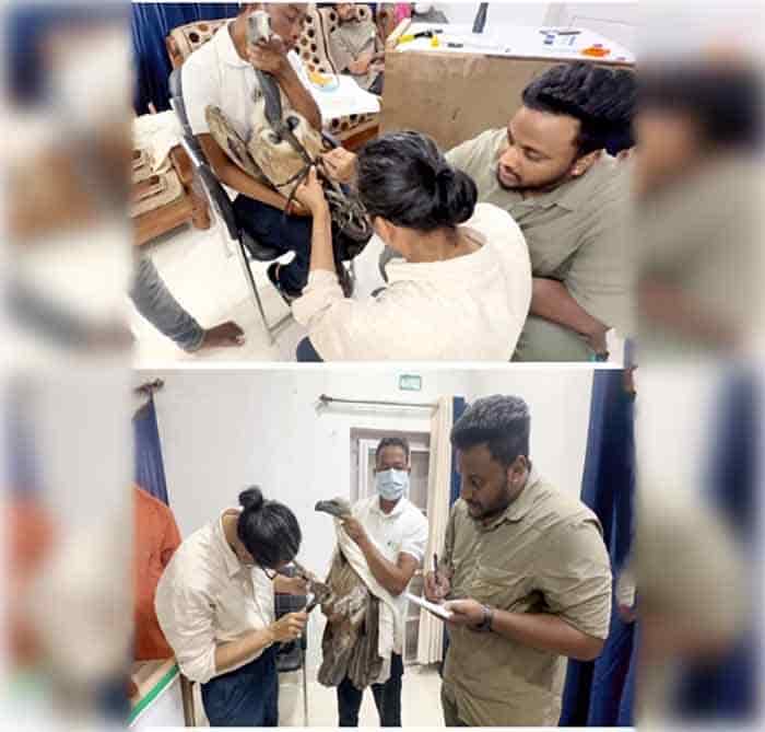 पर्यावरण की उड़ान: गिद्ध संरक्षण से जैव विविधता को मिलेगा नया बल पर्यावरण की उड़ान: गिद्ध संरक्षण से जैव विविधता को मिलेगा नया बल