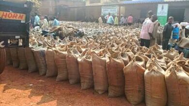 साल्हेवारा समिति में धान उठाव बंद, किसानों का धान सड़क किनारे पड़ा