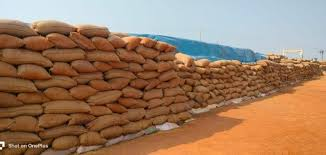 बालियों से बंधा रिश्ता: धान की कमाई से सजेगा प्रेमचंद लहरे के घर आँगन