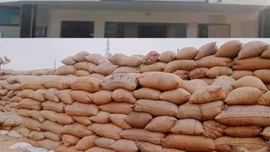 धान के दाने में छिपा घोटाला — पेंड्रीकला खरीदी केंद्र से उड़े 73 लाख