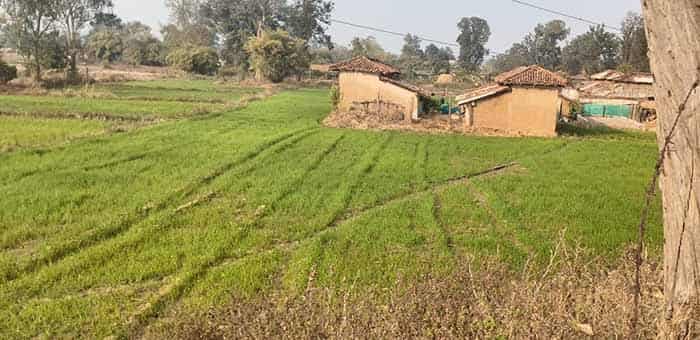 पानी की शक्ति से प्रगति की राह: चिड़ौला में ग्रामीण समृद्धि की नई कहानी पानी की शक्ति से प्रगति की राह: चिड़ौला में ग्रामीण समृद्धि की नई कहानी