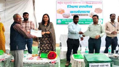 छत्ते में छिपा खजाना – मधुमक्खी पालन से बदल सकती है किसानों की किस्मत