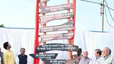 मां और मिट्टी का रिश्ता – हर पौधे में स्नेह, हर वन में संवेदना मां और मिट्टी का रिश्ता – हर पौधे में स्नेह, हर वन में संवेदना