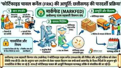 पोषण के साथ विश्वास: फोर्टिफाइड राइस आपूर्ति में पारदर्शिता की मिसाल