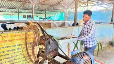 किस्मत पलटी! मजदूरी छोड़ ललित यादव बने सफल मल्टी-फार्मिंग उद्यमी