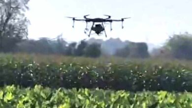 डिजिटल क्रांति खेतों तक! खेती में तकनीक ने बदली तस्वीर डिजिटल क्रांति खेतों तक! खेती में तकनीक ने बदली तस्वीर