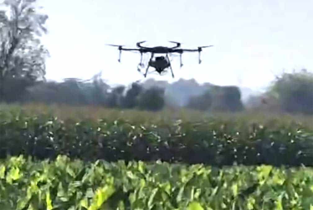 डिजिटल क्रांति खेतों तक! खेती में तकनीक ने बदली तस्वीर