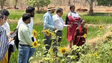 महिलाओं की मेहनत, बदलाव की कहानी: ‘दीदी के बखरी’ से नई उम्मीद