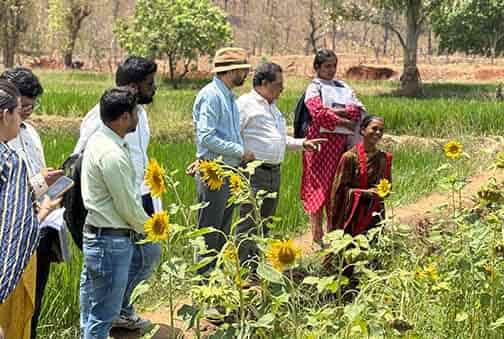 महिलाओं की मेहनत, बदलाव की कहानी: ‘दीदी के बखरी’ से नई उम्मीद महिलाओं की मेहनत, बदलाव की कहानी: ‘दीदी के बखरी’ से नई उम्मीद