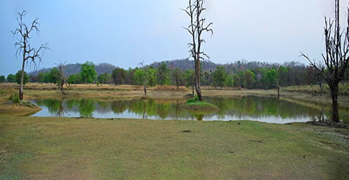 तपती धरती पर जीवन की बूंद—बारनवापारा बना वन्यजीवों का सहारा