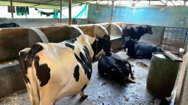 मेहनत की मिट्टी से उगी कामयाबी—ललित यादव बने मल्टी-फार्मिंग के नायक