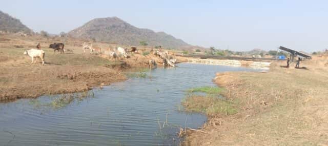 पानी से समृद्धि: पनारी नाले के पुनर्जीवन से गांव में आई खुशहाली