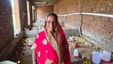 संघर्ष से समृद्धि: मुर्गी पालन ने मति बाई के सपनों को दी नई उड़ान