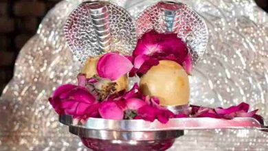 भक्ति का महासंगम—रायपुर में 29 अप्रैल को सोमनाथ ज्योतिर्लिंग के दिव्य दर्शन