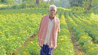 खेतों में खिले सपने—फूलों की खेती से आनंदराम की नई पहचान