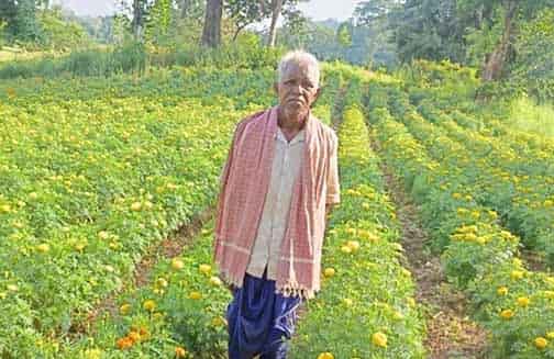 खेतों में खिले सपने—फूलों की खेती से आनंदराम की नई पहचान
