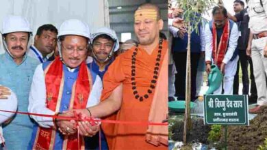 जंगल की दौलत से विकास की राह—वनोपज ने संवारी ग्रामीण अर्थव्यवस्था