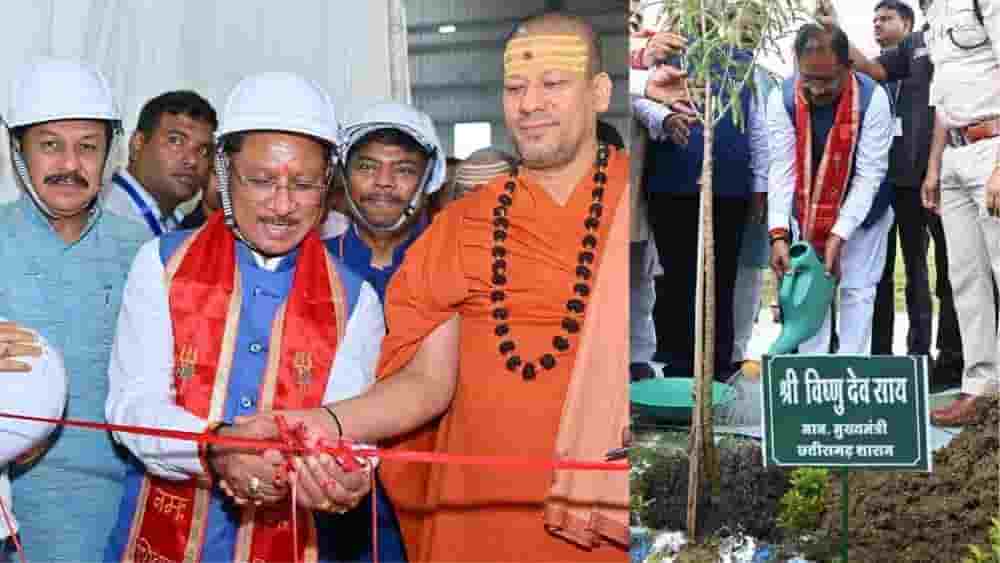 जंगल की दौलत से विकास की राह—वनोपज ने संवारी ग्रामीण अर्थव्यवस्था