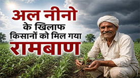 बदलते मौसम के बीच नई रणनीति, समझदारी और तकनीक से खेती को बनाएं अधिक लाभकारी बदलते मौसम के बीच नई रणनीति, समझदारी और तकनीक से खेती को बनाएं अधिक लाभकारी