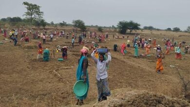 पानी बचा, रोजगार बढ़ा — महात्मा गांधी नरेगा बना ग्रामीण समृद्धि का मजबूत आधार