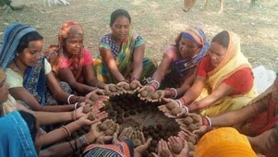 बीजों में छिपा हरित भविष्य: सीड बॉल अभियान से सज रहा जशपुर बीजों में छिपा हरित भविष्य: सीड बॉल अभियान से सज रहा जशपुर