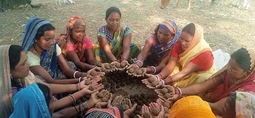 बीजों में छिपा हरित भविष्य: सीड बॉल अभियान से सज रहा जशपुर