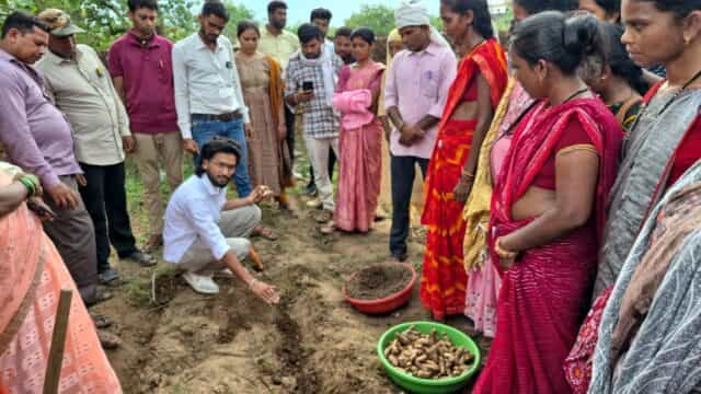 पीली फसल से सुनहरा भविष्य— वैज्ञानिक खेती के सहारे समृद्धि की ओर बढ़ते किसान