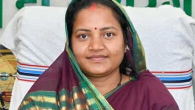 मुनगा से मिलेगा सेहत और पोषण का संबल, जनभागीदारी से बनेगा बड़ा अभियान