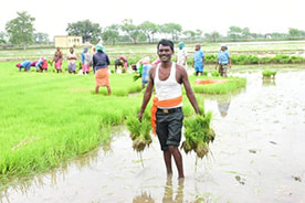 गौरेला-पेन्ड्रा-मरवाही जिले ने हासिल किया पीएम किसान सम्मान निधि योजना का 80 प्रतिशत लक्ष्य गौरेला-पेन्ड्रा-मरवाही जिले ने हासिल किया पीएम किसान सम्मान निधि योजना का 80 प्रतिशत लक्ष्य