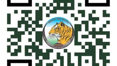 दौड़ेंगे कदम, बचेगा जंगल—अंतरराष्ट्रीय बाघ दिवस पर ‘रन फॉर इंद्रावती’ दौड़ेंगे कदम, बचेगा जंगल—अंतरराष्ट्रीय बाघ दिवस पर ‘रन फॉर इंद्रावती’