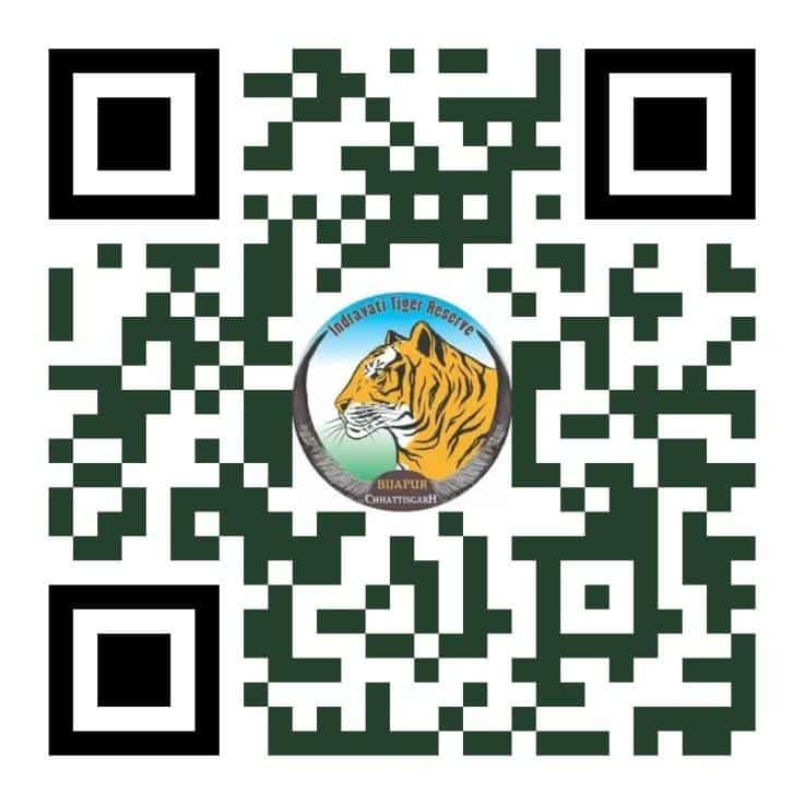 दौड़ेंगे कदम, बचेगा जंगल—अंतरराष्ट्रीय बाघ दिवस पर ‘रन फॉर इंद्रावती’ दौड़ेंगे कदम, बचेगा जंगल—अंतरराष्ट्रीय बाघ दिवस पर ‘रन फॉर इंद्रावती’