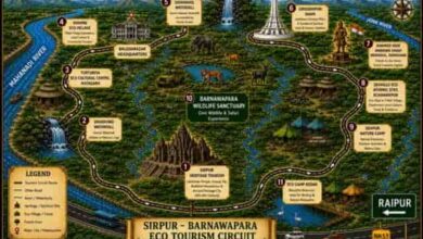 पर्यटकों के लिए जरूरी खबर! मानसून के चलते 31 अक्टूबर तक बंद रहेगा बारनावापारा अभयारण्य पर्यटकों के लिए जरूरी खबर! मानसून के चलते 31 अक्टूबर तक बंद रहेगा बारनावापारा अभयारण्य