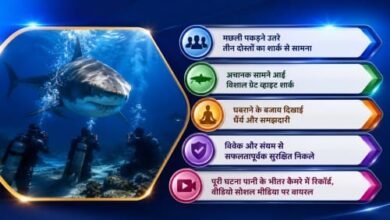 नीले समंदर में रोमांच का सामना, विशाल शार्क के आमने-सामने पहुंचे तीन दोस्तों का हैरान कर देने वाला पल नीले समंदर में रोमांच का सामना, विशाल शार्क के आमने-सामने पहुंचे तीन दोस्तों का हैरान कर देने वाला पल