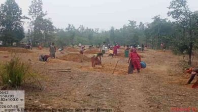मनरेगा से बदली तकदीर, निम्मलगुड़ा में विकास ने लिखी नई इबारत