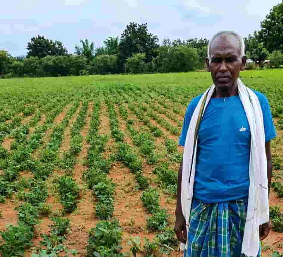 योजना का साथ, खेती में नई बात—NMEO से बेसाहू राम ने लिखी बदलाव की कहानी योजना का साथ, खेती में नई बात—NMEO से बेसाहू राम ने लिखी बदलाव की कहानी