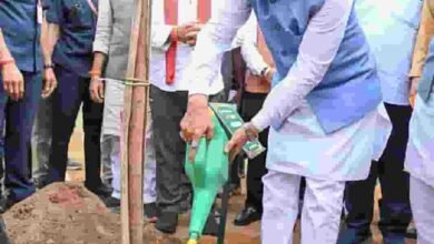 मुख्यमंत्री विष्णुदेव साय ने अपनी माँ के नाम पर लगाया पीपल का पौधा, वन महोत्सव-2026 का हुआ शुभारंभ मुख्यमंत्री विष्णुदेव साय ने अपनी माँ के नाम पर लगाया पीपल का पौधा, वन महोत्सव-2026 का हुआ शुभारंभ