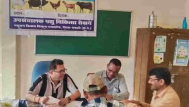पशुधन बना समृद्धि की राह, KCC से धमतरी के 93 पशुपालकों को मिली 98.62 लाख की संजीवनी पशुधन बना समृद्धि की राह, KCC से धमतरी के 93 पशुपालकों को मिली 98.62 लाख की संजीवनी