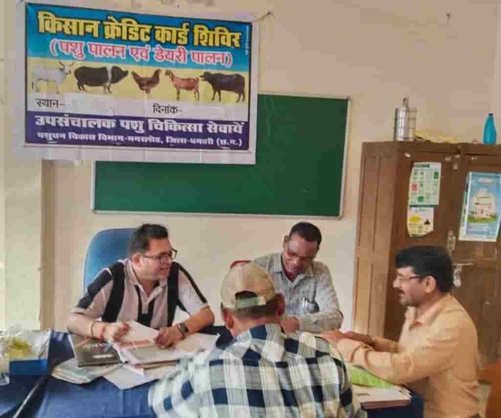 पशुधन बना समृद्धि की राह, KCC से धमतरी के 93 पशुपालकों को मिली 98.62 लाख की संजीवनी