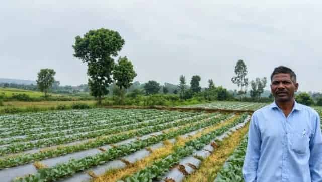 बूंद-बूंद पानी, भरपूर फसल—सूक्ष्म सिंचाई से किसान की खेती बनी समृद्धि की राह बूंद-बूंद पानी, भरपूर फसल—सूक्ष्म सिंचाई से किसान की खेती बनी समृद्धि की राह
