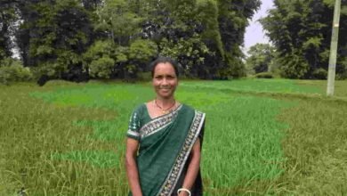 मेहनत की मिट्टी में उगी आत्मनिर्भरता, बिहान ने शकुंतला के सपनों को दी नई उड़ान मेहनत की मिट्टी में उगी आत्मनिर्भरता, बिहान ने शकुंतला के सपनों को दी नई उड़ान