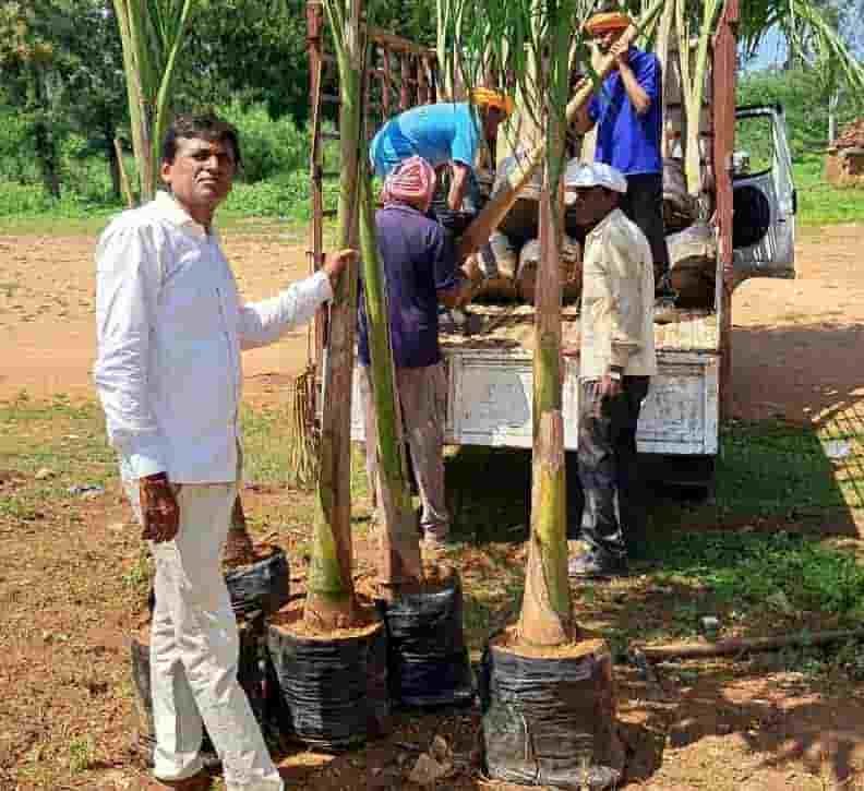 77 पाम वृक्ष, हजारों दीप और सेवा का संकल्प—अहिवारा रचेगा रोशनी की नई तस्वीर