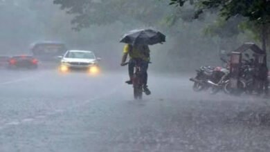 बूंदों से भीगी धरती, 996.5 मिमी बारिश से सराबोर हुआ छत्तीसगढ़ बूंदों से भीगी धरती, 996.5 मिमी बारिश से सराबोर हुआ छत्तीसगढ़