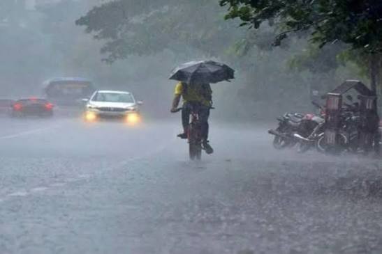 बूंदों से भीगी धरती, 996.5 मिमी बारिश से सराबोर हुआ छत्तीसगढ़
